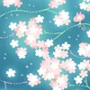 sk63581