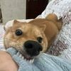 .pov.........1