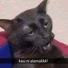 syawal4639