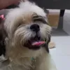 kcyu.wm