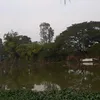 nhungnhung10021999