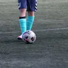 alvaro20180.67