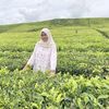 windi_hardianti27
