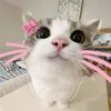 jezz_mayy