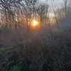 cliffsmiss87