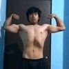 gus_navamuscul