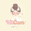 vitcam.riviu
