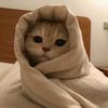 username010517