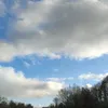 www.tiktok.commed_35