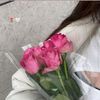 na_w_al_009