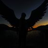 aearash_