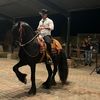 Raul Tirado
