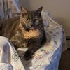 maryannb20