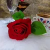rachid2973