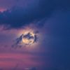 octavia_bailey_moon