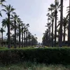 oum.sara02