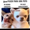 maguibm