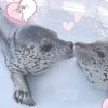 eepyseal