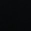 dxnn_11