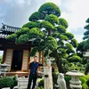 namtunglamgarden
