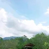 nadyaamaliawardha