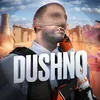 dusshnila