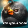 alifredio_makaronio_
