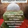 29051990ummi