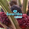 Sawitku Official