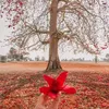 usero3bsq7o826