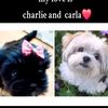 carla._charlie._the_dog