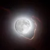 herobry_garant