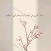nosha1188