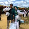 mluthfi962