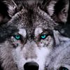 user0q68ac4wuu
