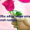 bushro.dagan6