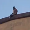 holyshit9099