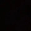 roseeara_