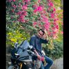 am_alif_mahmud