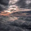 _bala_55
