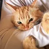 tinker.thor