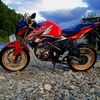 anakbujangumak10