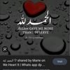 darkhashandebadar408