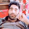 sherzeb3343