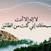 user26091861213541