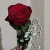 123abdulrazak1