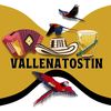 VallenatosTIN
