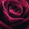 user8xvzlsn8an