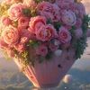 user4b5743jxso