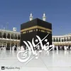 nabeelasaleem333